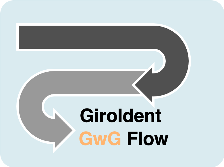 GiDocs_GS_GwGFlow.drawio.png