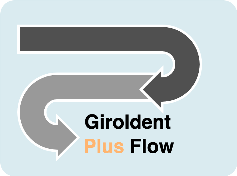 GiDocs_GS_PlusFLow.drawio.png