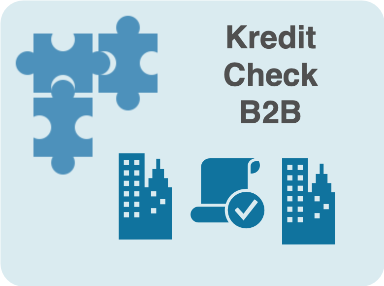 DiDocs_KreditCheckB2B.drawio.png